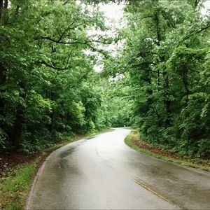 Meet your Posher, Maggie